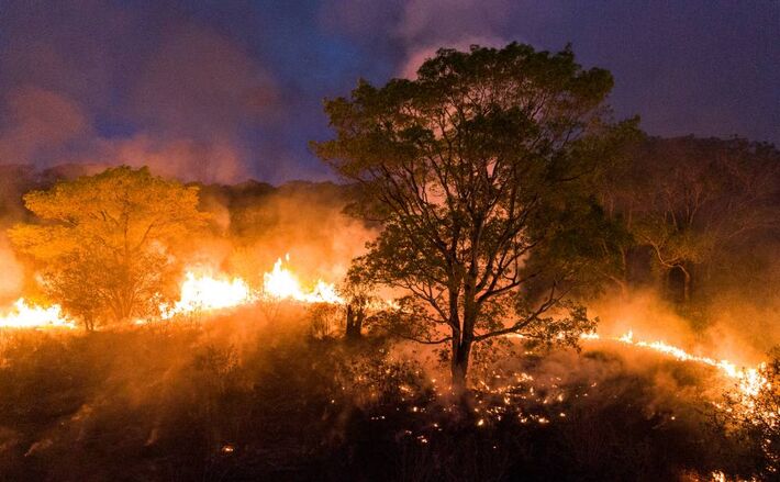 Pantanal queimou ao longo de 2020