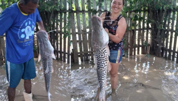 Mulher encontra peixe de mais de um metro em quintal de casa 