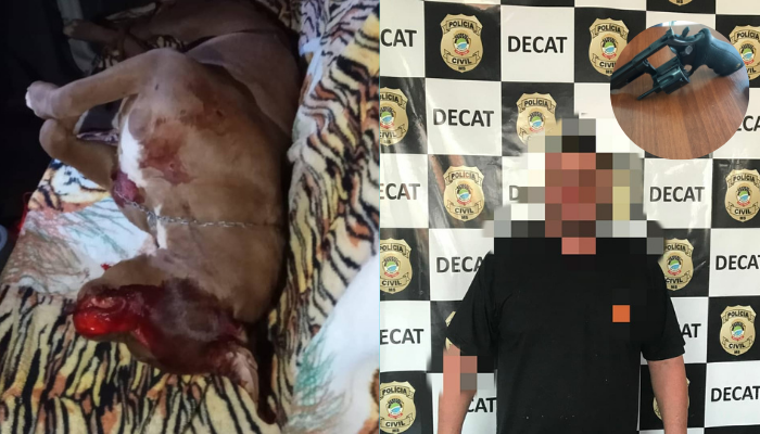 Homem disse que havia adquirido a arma há 4 meses e usou para matar Zeus.  Foto: Decat