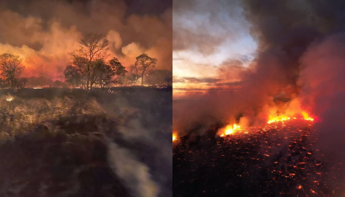 Pantanal arde em chamas em diversas regiões de MS e MT.  