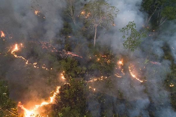 Incêndios estão associados ao desmatamento, quando o fogo é usado como estratégia para limpar pastos e queimar vegetação derrubada.