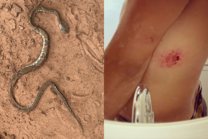 Produtor rural diz que pisou na cabeça e escapou da picada de cobra jararaca em MS  Foto: Heitor Medeiros/Arquivo Pessoal