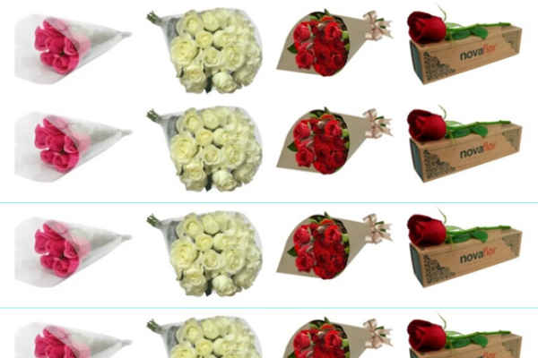 Imagem: novaflor.com.br