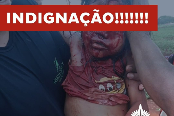 O  Parlamento Indígena do Brasil busca dar voz e visibilidade política às lideranças indígenas tradicionais representativas dos povos brasileiros publicou essa foto!