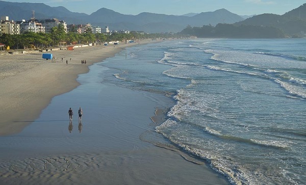 Ser humano não é parte da dieta do tubarão e casos são tratados como fenômenos sem padrão, como acontece em Recife