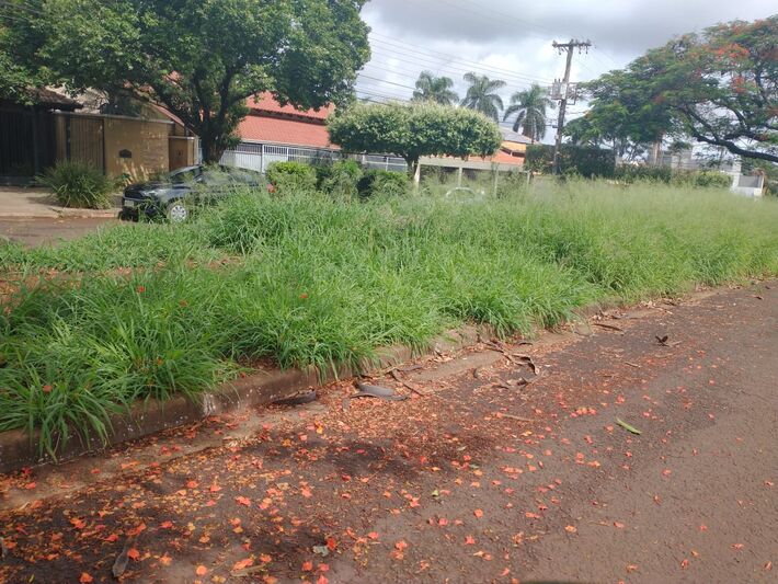 Cidade de Dourados em meio ao matagal. Foto: Folha de Dourados 