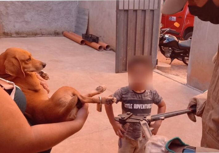 Menino coloca cadeado na pata de cachorro  Foto: Corpo de Bombeiros