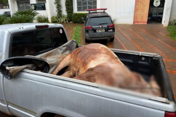 Polícia suspeita que animal foi furtado em fazenda. Foto: Jornal da Nova