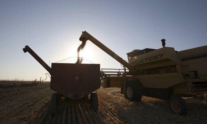 Colheita de trigo: Rússia e Ucrânia são responsáveis por 28% do comércio global do grão. Foto: Adriano Machado / Bloomberg