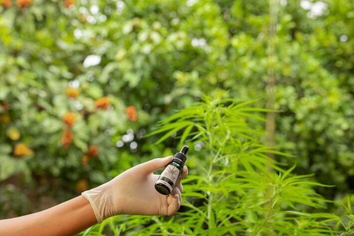 Pioneirismo na discussão e auxílio acerca da Cannabis Medicinal marcam primeiro evento desse porte em Campo Grande (MS), organizado por Associação de Pacientes e Camila Jara.  