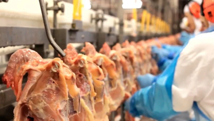 Rejeitada na Europa, parte da carne de frango contaminada com salmonela volta ao Brasil, onde é revendida (Foto: "Carne, Osso"/Repórter Brasil)