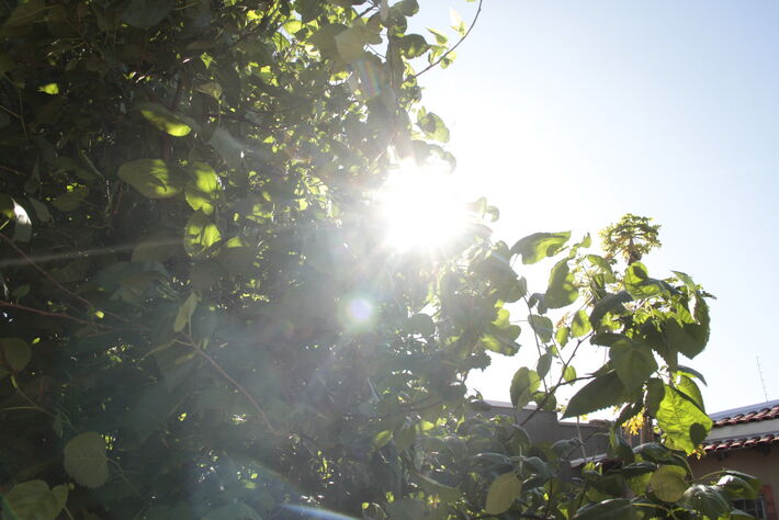 Sol intenso nesta segunda-feira em Campo Grande. Foto: Tero Queiroz