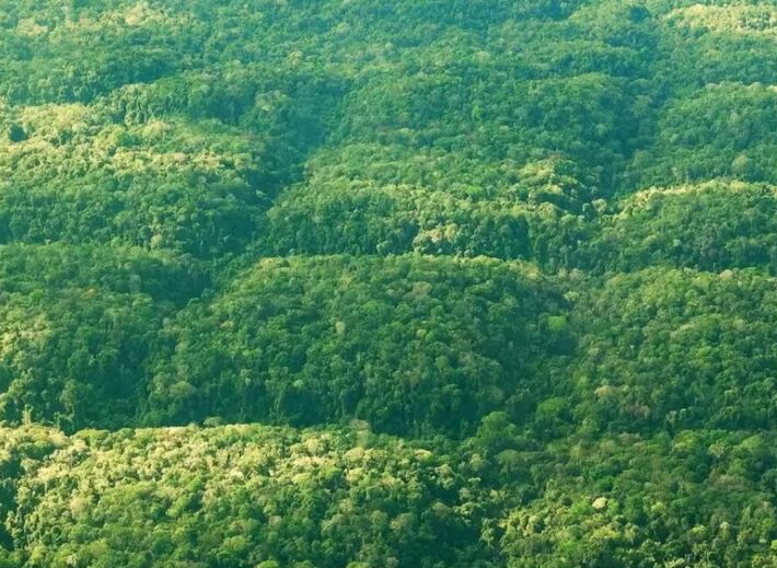Essa é uma imagem aérea da suposta região de 'Ratanabá'. Foto: Dakila Pesquisas