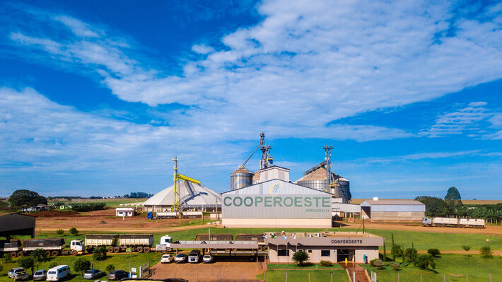Associados da Cooperoeste estão otimistas. Foto: Reprodução