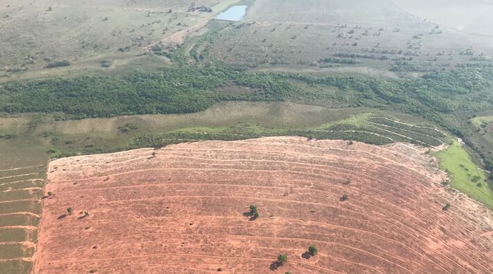 Pantanal perdeu quase o triplo de sua área vegetada nesse semestre. Foto: Reprodução