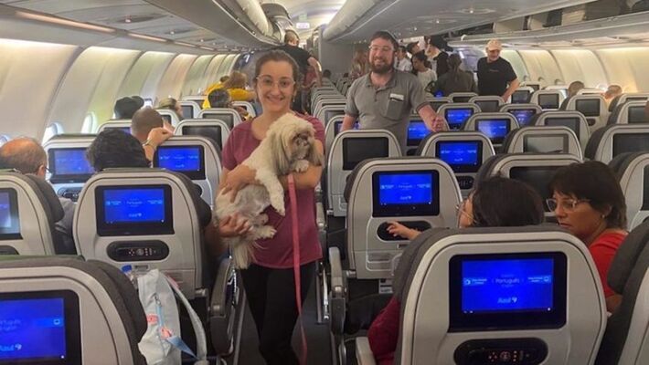 A bordo estão 214 brasileiros resgatados, um cachorro e três gatos. Foto: GOV BR