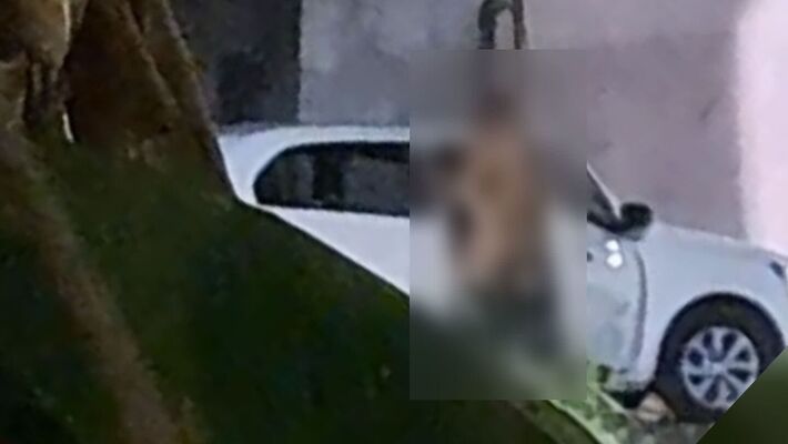 Casal é flagrado fazendo sexo em plena luz do dia e no meio da rua.