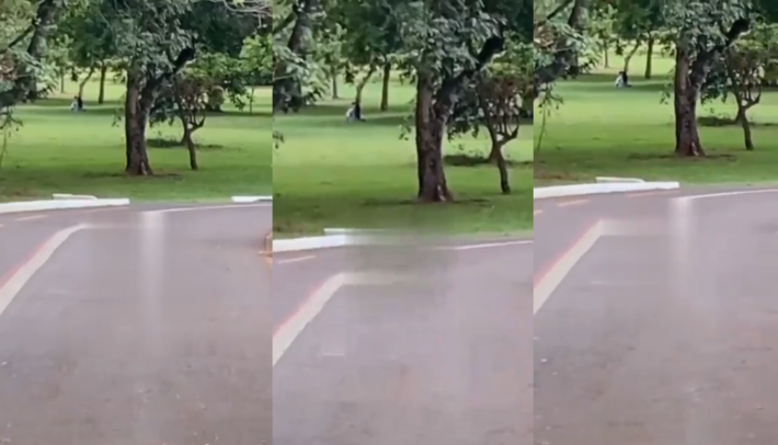 Casal é flagrado fazendo sexo em Parque de Campo Grande (MS). Fotos: Reprodução - Vídeo