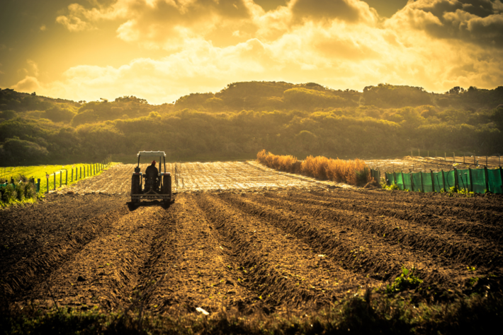 Em 2023 Mato Grosso do Sul alcançou safra recorde de cereais, leguminosas e oleaginosas, com produção total de 28,4 milhões de toneladas. Foto: DR | MS Notícias