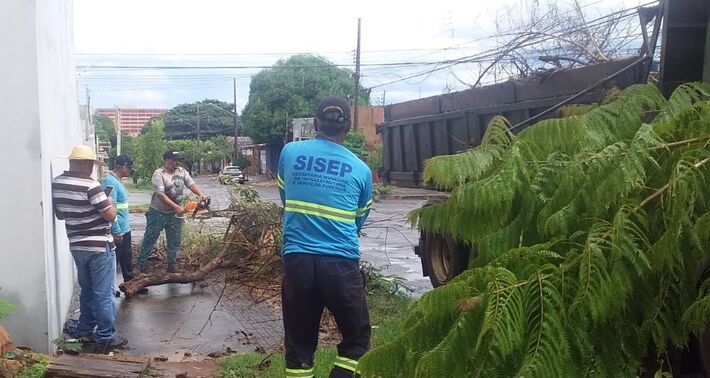 Equipes da Sisep removem árvores de uma rua em Campo Grande, após chuvas torrenciais. Foto: Reprodução