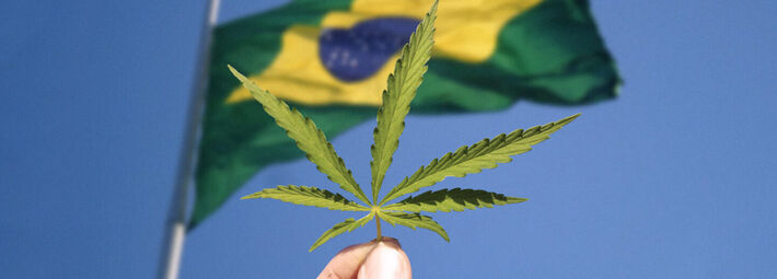 Desde os tempos do Brasil Colônia até a atualidade, a relação do brasileiro com a cannabis foi sendo fabricada através do tempo. Foto: Creative Commons