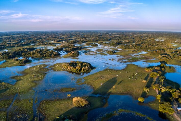 Imagem aérea do Pantanal preservado em 2017, próximo a Corumbá (MS). Foto: Leo Mercon | MS Notícias 