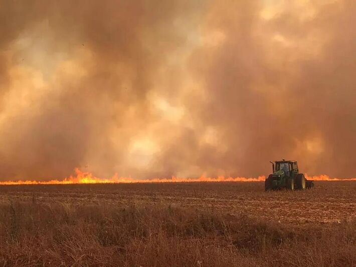 Incêndios transformam a paisagem no interior de SP