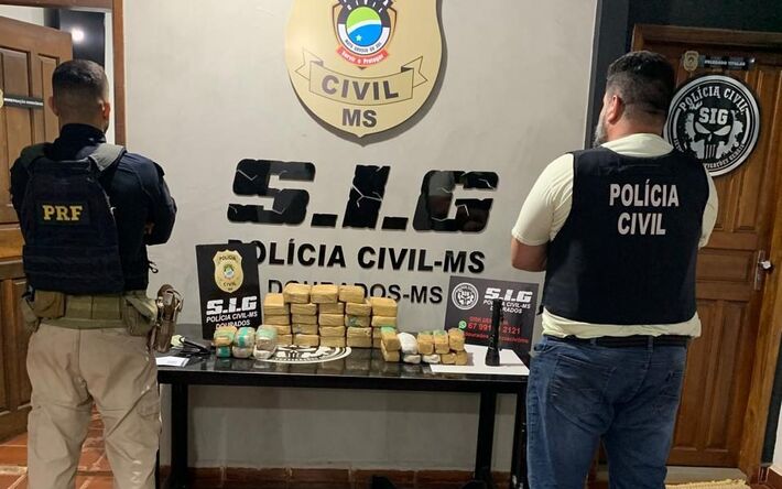 Drogas apreendidas pela Polícia Civil