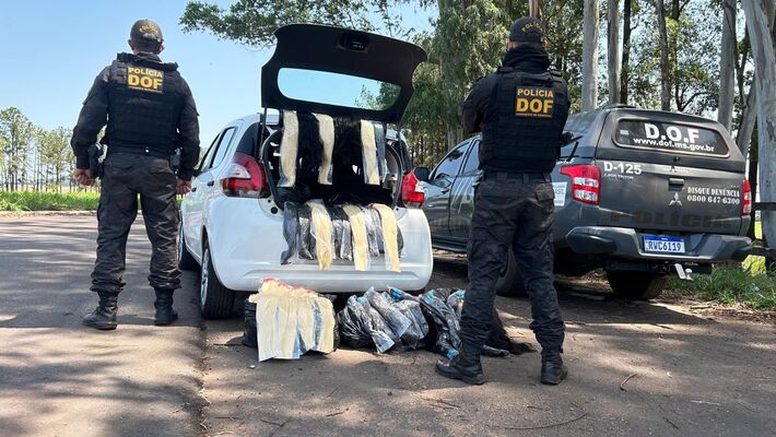 Cabelo apreendido pelos policiais