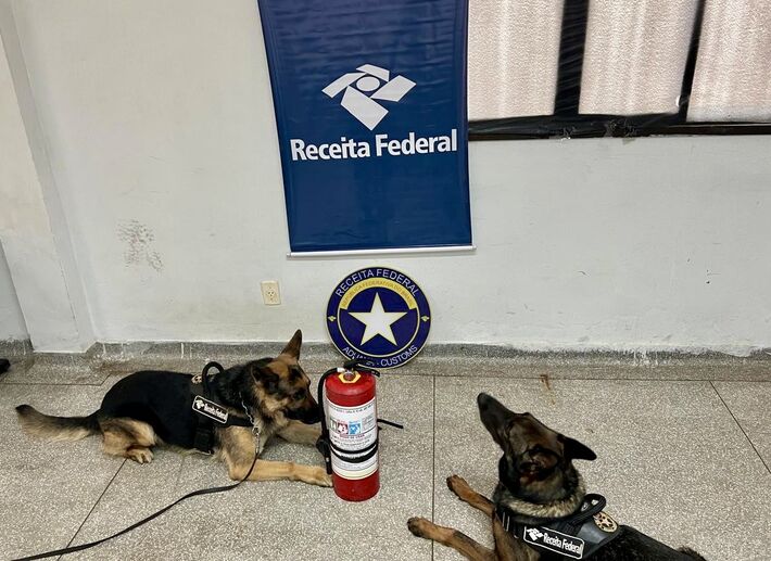 Cães farejadores ajudaram a localizar droga.