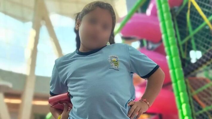 Menina morreu aos 8 anos após ser picada por aranha