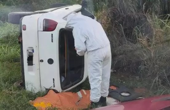 Abelhas atacaram quem se aproximou para ajudar