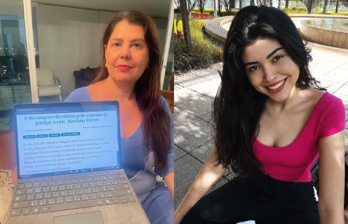 A promotora de Justiça Celeste Leite dos Santos, presidente do Pró-Vítima, o papel da entidade é colaborar juridicamente em casos que envolvem possíveis violações de direitos fundamentais.