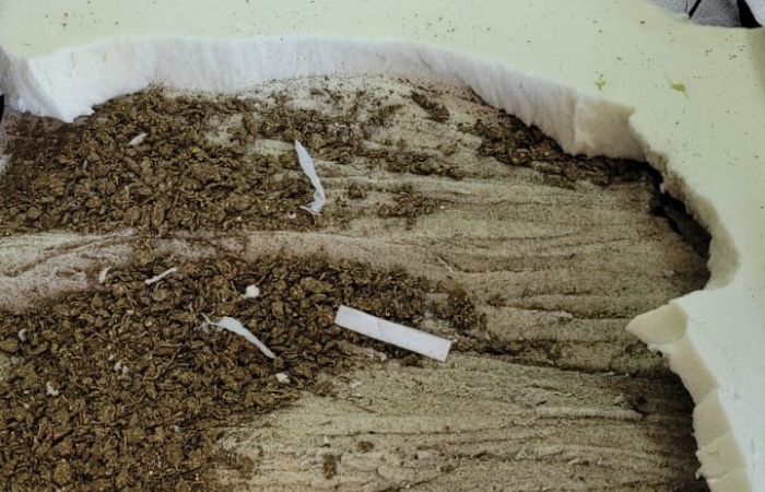 Foto: Reprodução/ Agepen