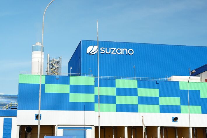 Não é necessário ter experiência prévia no setor florestal para concorrer às vagas.