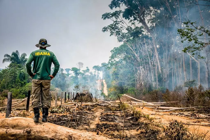 Extrema direita celebra aprovação do PL da Devstação no Brasil. Foto: Vinícius Mendonça/Ibama