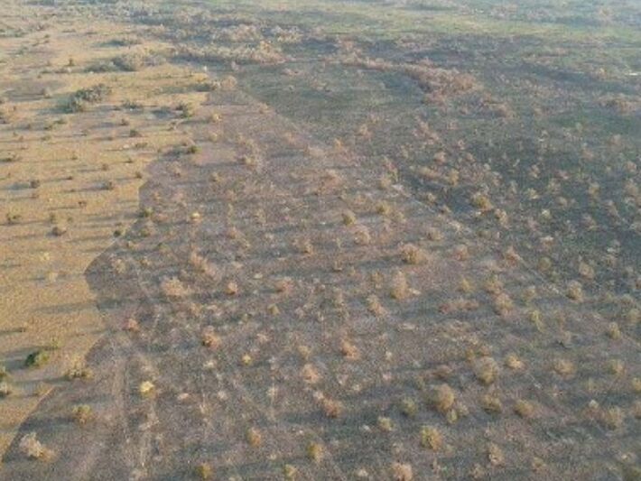 Área atingida por incêndio
