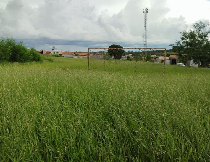Matagal toma conta de áreas públicas em Campo Grande