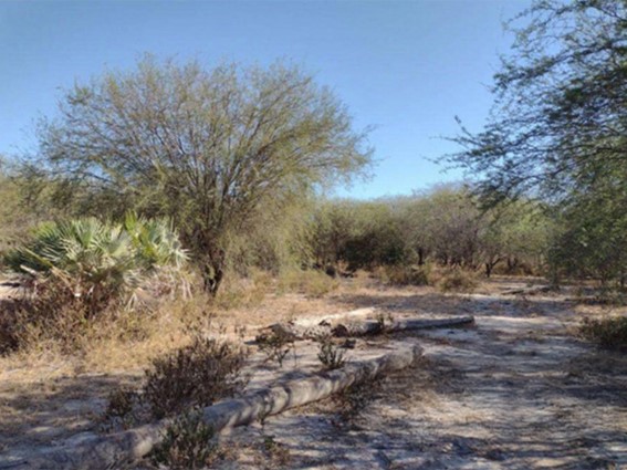 Fazenda está localizada na região de Porto Murtinho