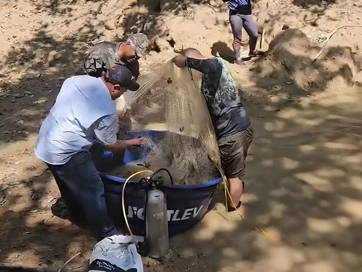 Voluntários durante resgate de peixes