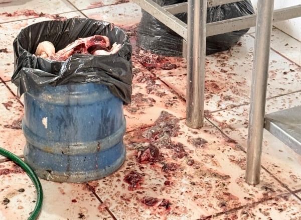 Polícia encontrou produtos impróprios para consumo