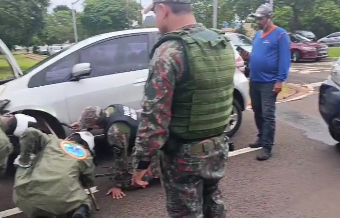 Grupo consegue remover cobra jiboia do eixo de carro na Capital de MS.