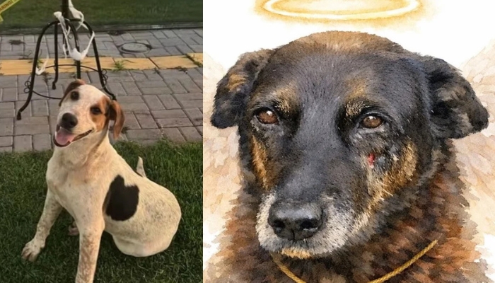 Foto: Reprodução/ Internet