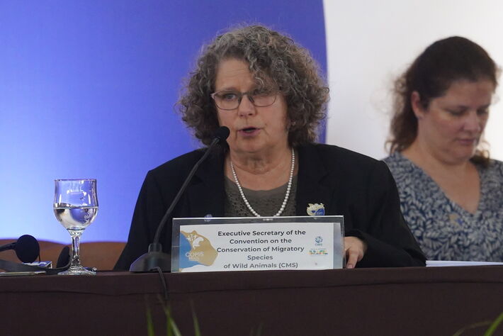 22.03.2026 - Amy Fraenkel, integrante do alto escalão da Organização das Nações Unidas (ONU) discursa durante a COP15 em Campo Grande (MS).  Foto: Ueslei Marcelino/MMA