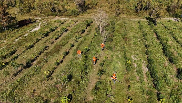 Entre os projetos beneficiados está o da brigada do Instituto do Homem Pantaneiro, que atua na região da Serra do Amolar.