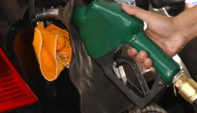  Eles indicam que o consumo de óleo diesel cresceu 4,6% na comparação entre 2012 e 2013, passando de 55,9 bilhões para 58,4 bilhões de litros; enquanto o aumento nas vendas de biodiesel atingiu 5,9%, passando de 2,7 bilhões em 2012, para 2,9 bilhões de li