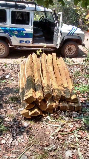 Madeiras apreendidas pela PMA<br />Foto: Assessoria PMA