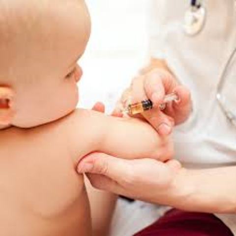  A informação é preventiva, pois algumas crianças com alergia ao leite tiveram reação à vacina<br />Foto: Reprodução