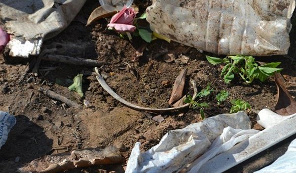  Possíveis ossos humanos encontrados por crianças no município de Coxim<br />Foto: Conesul News