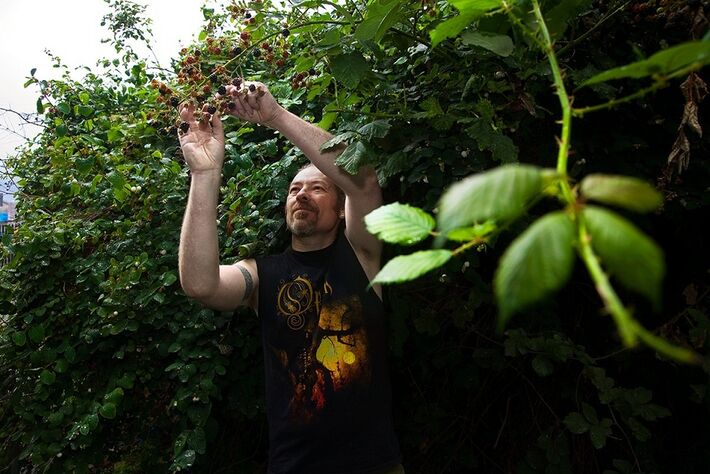 Holly Falconer / Vice